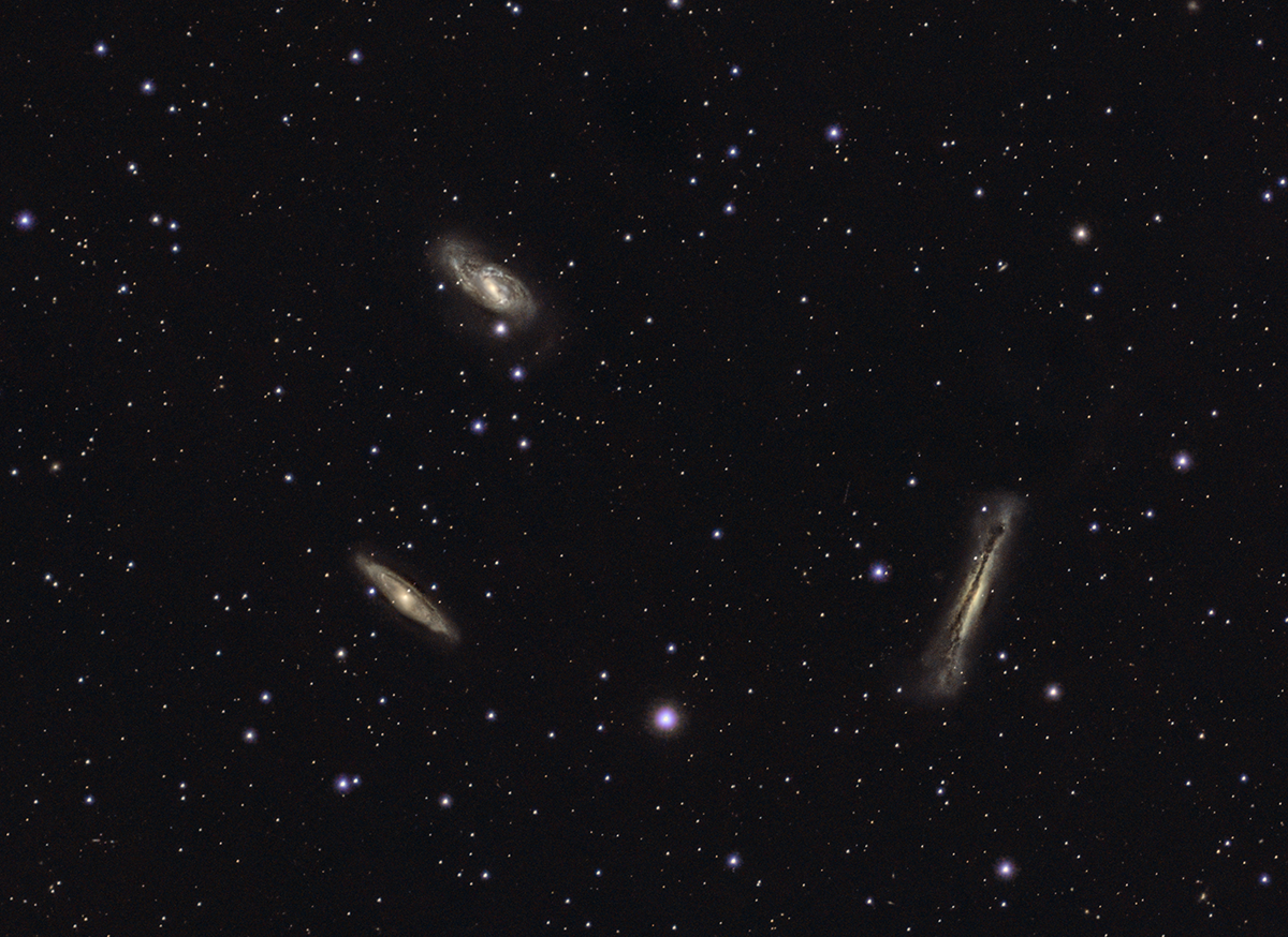 Leo Triplet
